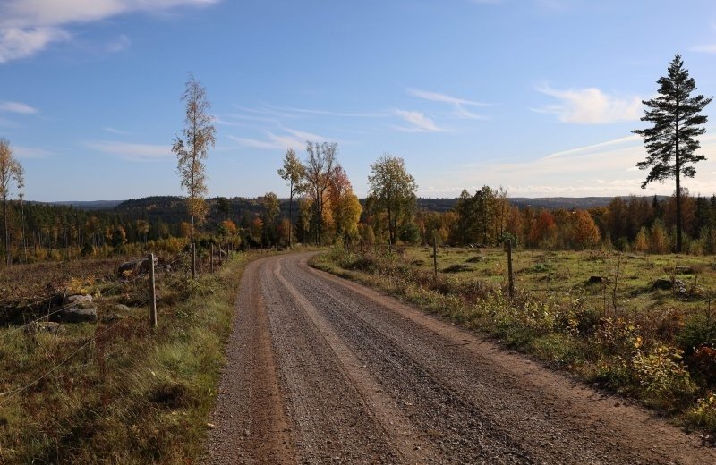 Langstreckenwanderungen