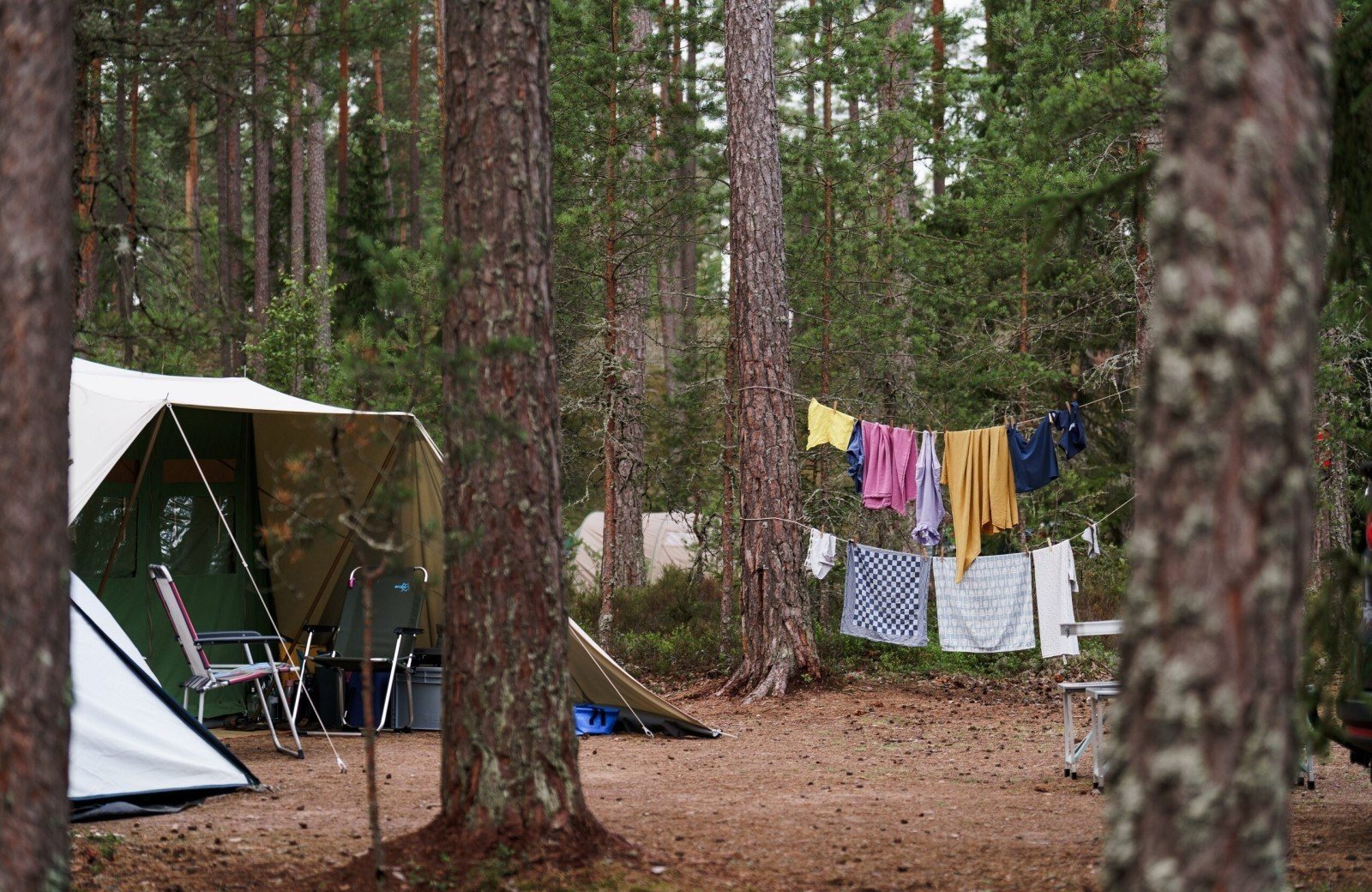 Pj spilhammars 00071